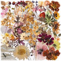 50 Transparent Dried Plant Stickers, Vintage Floral Dried Flower Specimens, Realistic Waterproof Pet Decorative Journal Stickers