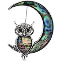 Wuli&baby Vintage Abalone Owl Brooches For Women Unisex Lovely Stay Moon Bird Party Casual Brooch Pins Gifts