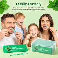 384/288/128/32/5PCS Mint Dental Floss Picks, Individually Wrapped, Bulk Pack Flossers for Family & Travel
