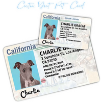 Custom Pet Dog Card, Pet Card, Personalized pet ID Card, Pet Birthday Gift, Perfect Wallet Pet Card, Gift for Pet