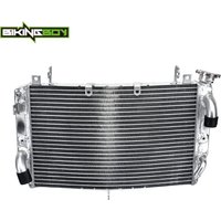 Für YZF R1 00 01 02 03 04 05 06 07 08 09 10 11 13 14 15 16 17 18 20 21 22 23 24 R1M R1S 2016-2024 Motor Kühler Kühlung
