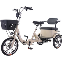 AliExpress NONE New 3 Wheel Electric Tricycle Bicycle Folding All Terrain With Passenger Seat For Adult Senior Family 400w Women's Electric Bike