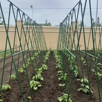 1sets Cucumber Trellis A Frame Garden Vegetable Trellis Detachable Support Trellis Plant Climbing Frame for Climbing xs63-fro