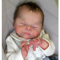 19inch Unpainted Reborn Doll Kit Christopher Unfinished Unassembled DIY Doll Parts with Cloth Body for Artists
