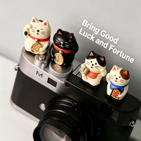 Cute Lucky Cat Series Hot Shoe Cover for Leica Q2 Fuji X100V X-T5 Sony ZV-1 Canon EOS R5 Nikon Z5 Camera Accessories