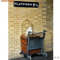 SHENGYONGBAO Heaven Brick Wall Photography Backdrop Platform 9 3/4 railway Station Photo Studio Background SS-12