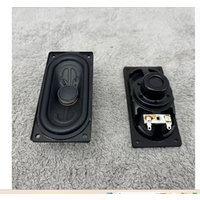 GHXAMP High end Echo Wall Runway Speaker 94*44mm Rectangular Full Range Neodymium Speaker 4ohm 10W 2pcs