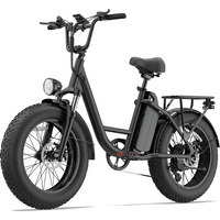 AliExpress NONE URLIFE E20Pro Adult 1500W Peak Power Motor 48V15.6Ah Battery Electric Bicycle E-bike 20*4Inch All Terrain Fat Tire Electric Bike