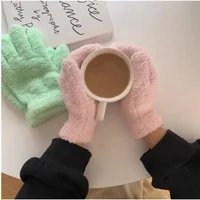 AliExpress Fashion Winter Mink Velvet Five Finger Gloves Plush Warm Cold-proof Gloves Women Outdoors Cycling Solid Color Wistiti Mittens