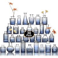 30Pcs Mini Vintage Glass Bud Vases Set Unique Embossed Patterns Vases for Wedding Home Table Decor Flower Arrangement