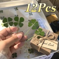 12Pcs Clear PVC Four Leaf Clover Cards Set Irish Style Bookmarks For Birthday Wedding Party Decor Small Gift Ornament