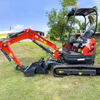 Mini hydraulic tracked excavator, certified by our Chinese factory. Suitable for home, agricultural, and customize application