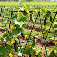 Pop 1sets Multi-Purpose Plant Support Stakes - Durable Vegetable & Vine Trellis For Tomatoes, Cucumbers, Grapes xs63-fro