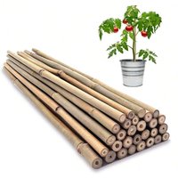 Bamboo Garden Wooden Stakes Ecological Friendly Bamboo Plants Wooden Stakes, Climbing Plants Bamboo Sticks