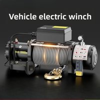 12V 24V Electric Winch Portable Vehicle Mounted Small Crane Electric Hoist For Off Road Vehicle Self Rescue Winch Escape Tool