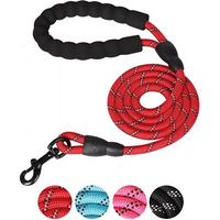 1.2M Reflective Dog Leash With Comfortable Padded Handle Double Heavy Duty Traction Rope For Strong Dog Enhance Safety And Contr