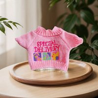 Suitable for 30cm baby clothes. Lina bear clothes. Teddy bear doll. Sweater accessory replacement set. Player collection.