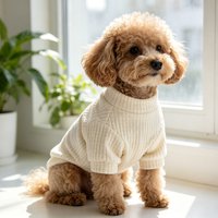 Pet Dog Clothes Soft Warm Cat Shirt Chihuahua Dog Sweatshirt
