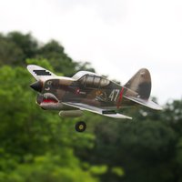 MinimumRC-Avion RC P40 de 320mm d'Envergure pour Enfant, Jouet d'Extérieur à 4 Canaux, Idéal comme Cadeau