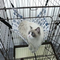 Spring And Summer Canvas Cat Carrier Hammock Plus Pile Hanging Cat Hammock Length Adjustable Pet Cat Hanging Nest Swing Cat Nest