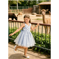 Snvdzo Princess Girls Lace Flower Girl Dress 3D Floral Sleeveless Tulle Princess Wedding Pageant Party Dresses 2026 with Big Bow