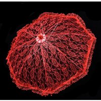 Elegant Lace Women's Lace Umbrellas Lolita Floral Patterns Wedding Decoration Props Delicate Hollowed Out Bride Prop Umbrella