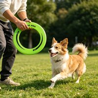 Durable Lightweight Hollow Flying Ring Polypropylene Material for Outdoor Use Beach Park Dog Walking Scenarios
