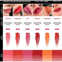 FAMISOO 6 Best selling colors 5ML Permanent Makeup Pigments Tattoo Lips Pigments Sample Size Tattoo Pigments PMU Tattoo Ink Set