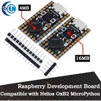 Raspberry Development Board ProMicro RP2040: Compatible with Helios OxB2 MicroPython