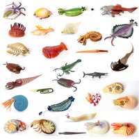 Plastic Prehistoric Sea Creature Ancient Cambrian Ocean Animal Nautilus,Trilobita,Baculite,Opabinia,Pikaia Marine Figurines Toys