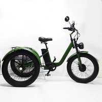 750W 48V Elektrisches Dreirad mit Fettreifen 24 Zoll für Erwachsene Männer Elektrofahrrad Mountainbike 3 Räder Abnehmbarer Akku