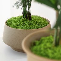 Building Model Material Durable Artificial Filamentous Moss Green Environmental Fake Moss DIY Polyester Moss Grass Home
