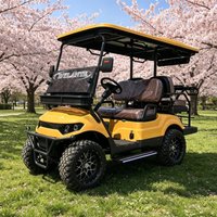 China Electric Golf Cart 60v 72v Four-Wheel Vehicle Buggy Street Legal Battery Operated 2 4 6 Seatergolf Carts for Sale