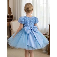Young Girl Blue Velvet Sequins Silk Skirt with 3D Butterfly Knot Decorations A Flowing Silk Dress for Flower Girl,Banquets,Party
