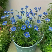 6/8/10Pcs Handcrafted Ceramic Eternal Flowers Forget-Me-Not Home Ornament Indoor Outdoor Decor
