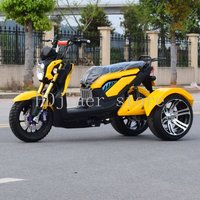 60v1000w Differential Motor 14-Inch Three-Wheel Electric Motorcycle Battery Car 72v20a 1500W