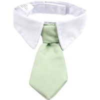 Striped pet cat dog tie striped jacquard pet ti white-collar Oxford cloth printed pet tie