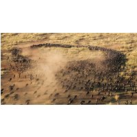 4 dagen Kenia: Masai Mara Avontuur