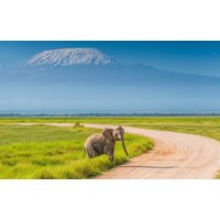 4 dagen - Olifantensafari in Amboseli