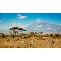 18 dagen safari en strand - Zo heb je veel van alles