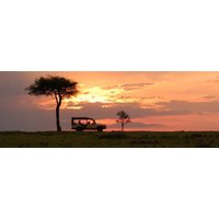 15 dagen Kenia safari: tien parken op rij