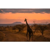 12 dagen safari & strand - De perfecte reis voor jou om te genieten - 100% rolstoelvriendelijk