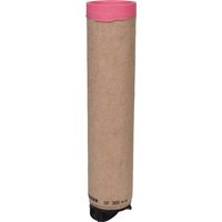 MANN-FILTER Secondary air filter element CF300