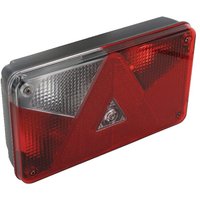 Aspöck Rear light LH rectangular, 12V, red/transparent, bolt on, 5-pin, Multipoint V by 248500007