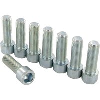 Bernhofer Gesenkschmiede Bolt set 8 Piece M20x80 30001196