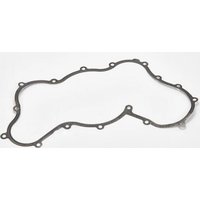 Manitou Timing Case Gasket MA894835