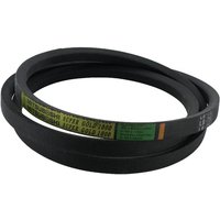 Etesia V-belt SBV-belt75W800 ET27216
