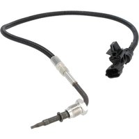 Weidemann Sensor 1000433787