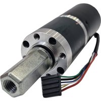 Ambrogio Wheel motor 050Z38400A