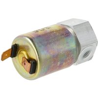 Fendt (AGCO) Solenoid valve coldstart F311200180020